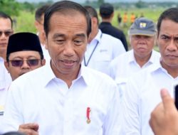 Presiden Jokowi Sebut Potensi IKN Dongkrak Pertumbuhan Ekonomi Sektor Pertanian bagi Daerah Sekitar
