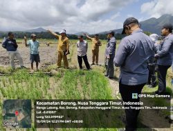 Satgassus Pencegahan Korupsi Polri Lakukan Monev di Nusa Tenggara Timur