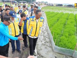 Menteri Dody Tinjau Penerapan IPHA di D.I Rentang, Metode Budidaya Padi Hemat Air