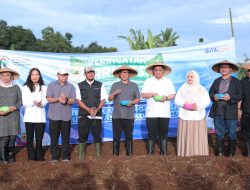 Genjot Swasembada Pangan, Mendes Yandri Dorong Desa Maksimalkan Lahan