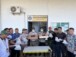 Barantin Berhasil Gagalkan Penyelundupan Seratusan Satwa Dilindungi di Papua Selatan