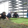 Ungkap Peran TNI AD dalam Ketahanan Pangan dan Pelestarian Alam, Dispenad Ajak Awak Media Jelajahi Agroforestry Gunung Hejo