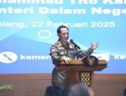 Optimalkan Pelayanan, Mendagri Dorong Kepala Daerah Bentuk MPP