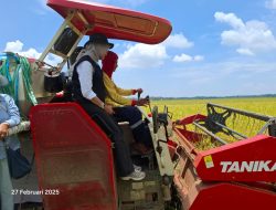 Laksanakan Program Presiden, Bulog Jemput Gabah Petani dengan Harga Rp6500