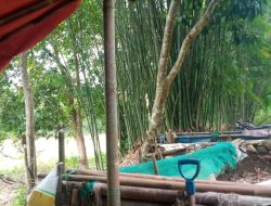 Aktivitas Tambang Pasir di Bungoro Diduga Ilegal, H. Muksim: Itu Bentuk Pemberdayaan Masyarakat