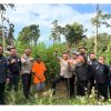 Polres Madina temukan Ladang ganja 1 hektar di pegunungan Huta Bargot