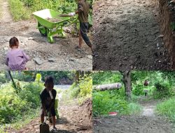 Warga 20 KK Kesulitan Akses Jalan, Anak SDN 168 Halsel Bantu Ayah Seorang Wartawan Bangun Jalan