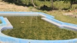 “Kolam Renang Dana Desa Terlantar, Warga Pertanyakan Manfaatnya”