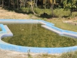 “Kolam Renang Dana Desa Terlantar, Warga Pertanyakan Manfaatnya”