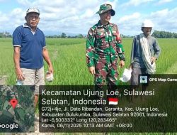 BANTU KETAHANAN PANGAN DAERAH, BABINSA GARANTA DAMPINGI PERAWATAN TANAMAN PADI DI UJUNG LOE